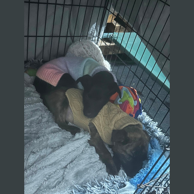 Photo of Betty 🎾🌹