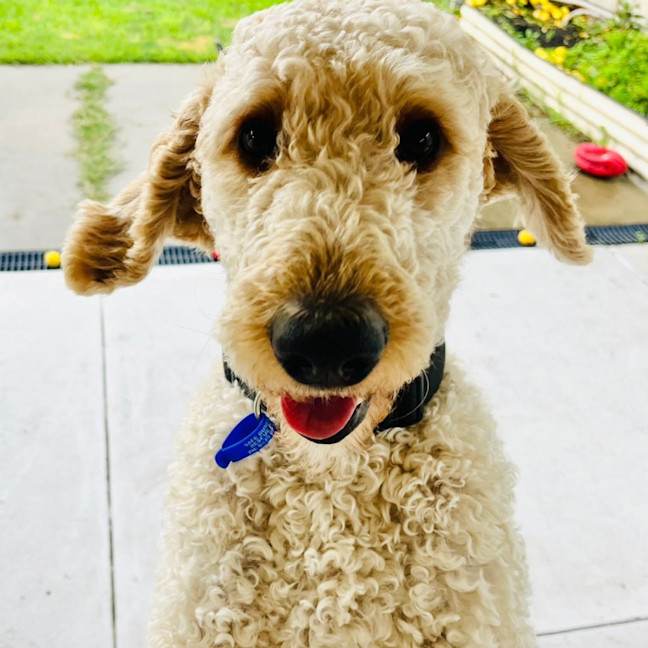 Photo of Mo