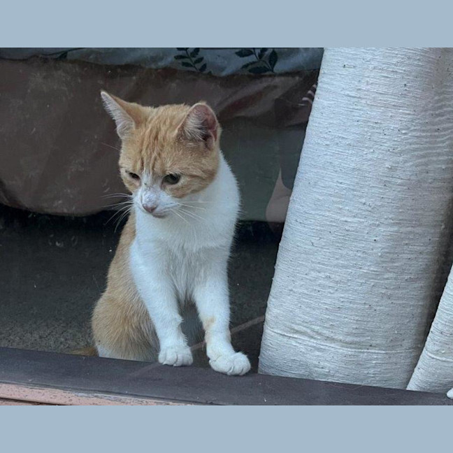 Photo of Olivia O'cleary