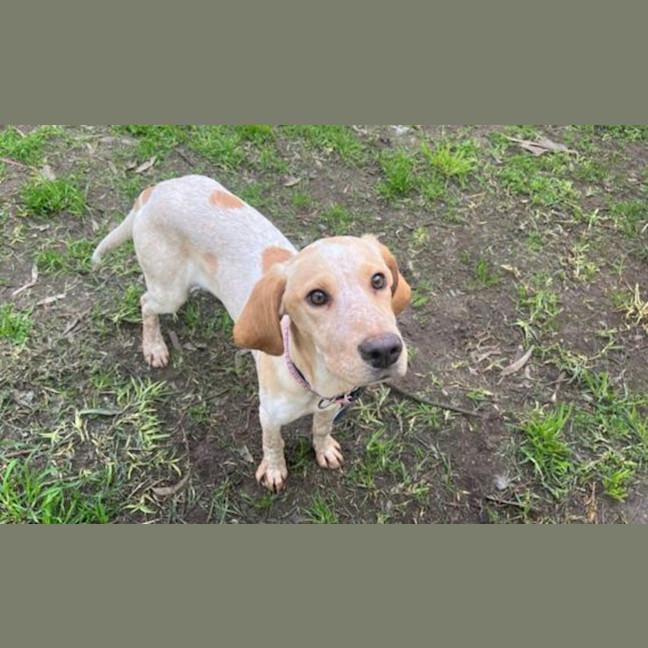Photo of Stanley
