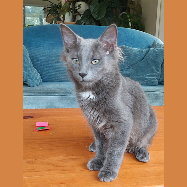 Photo of Dolly Purrton