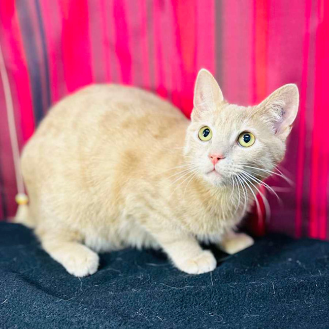 Photo of Russ (Located In Preston) 