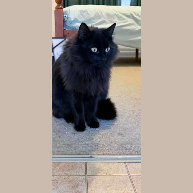 Photo of Dee