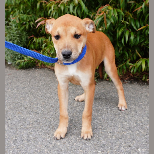 Photo of Ginger And Rodger