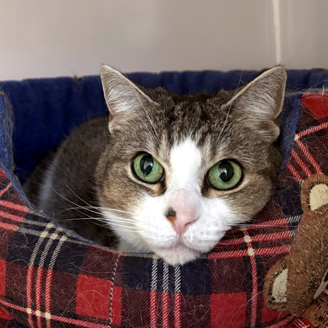 Photo of Abby Sta014249