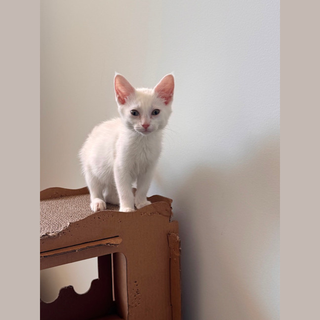 Photo of Wendy