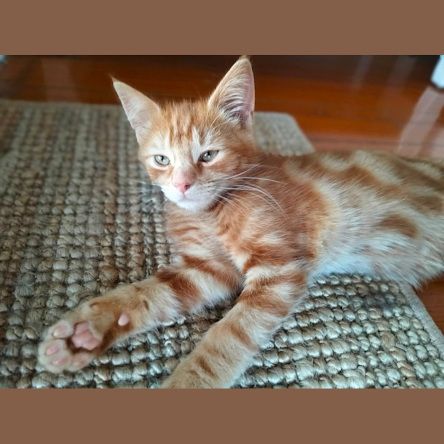 Photo of 🧡 G A R Y 🧡