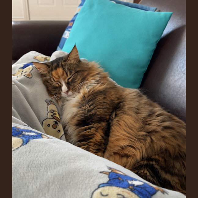 Photo of Ruby