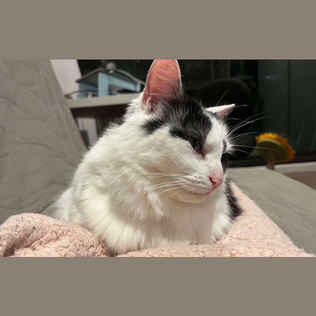 Photo of Bonny