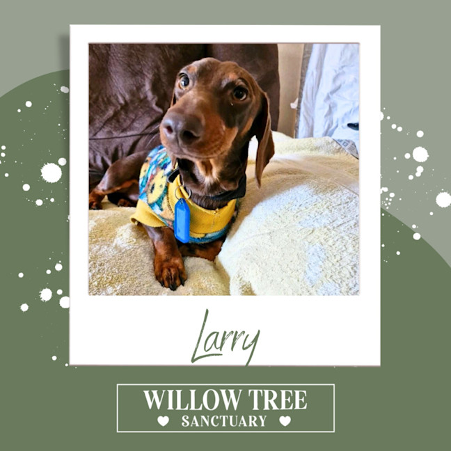Photo of Larry