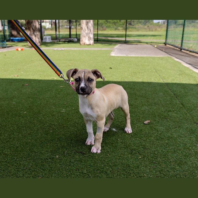 Photo of Lottie Bell