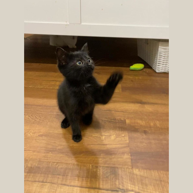 Photo of Wednesday
