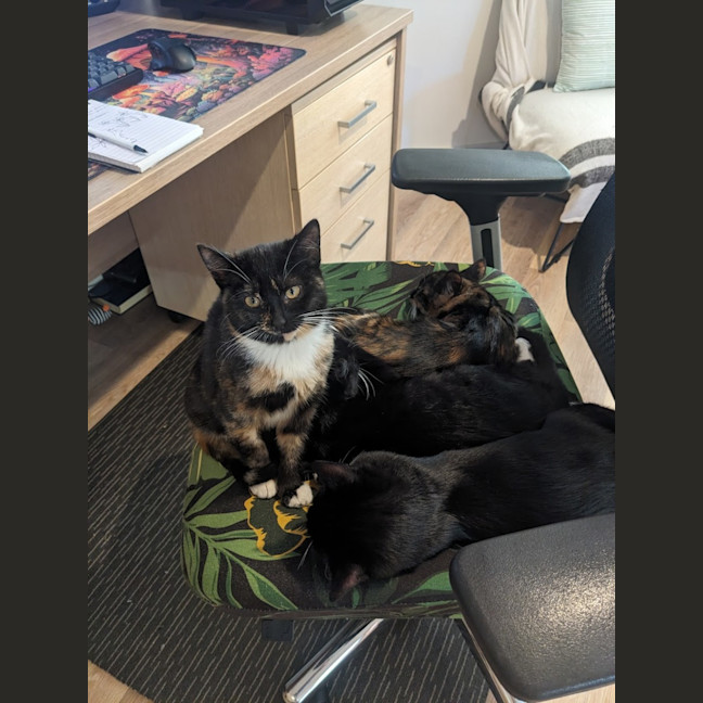 Photo of Miss Marple