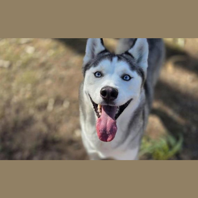 Photo of Klaus