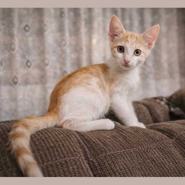 Photo of Fin
