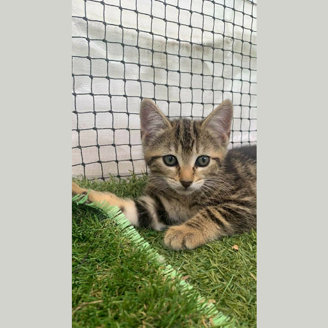 Photo of Princess