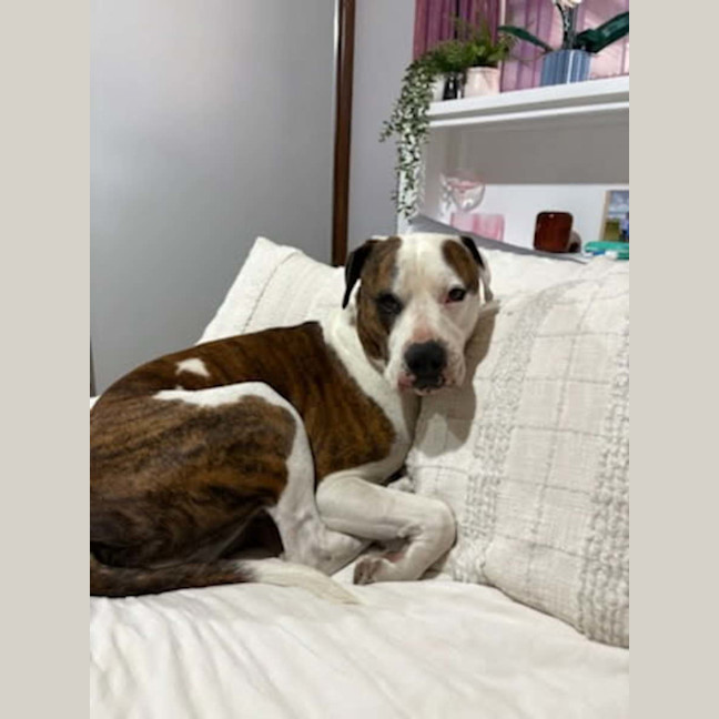 Photo of Thor