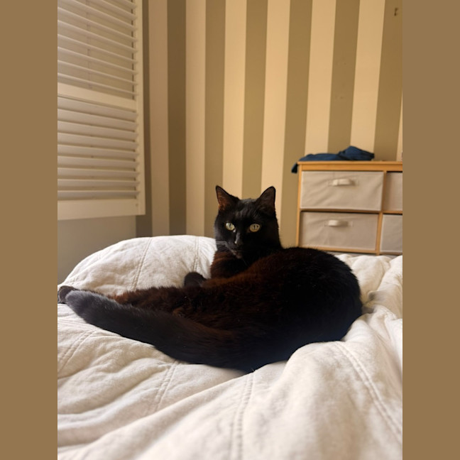 Photo of Mabel 
