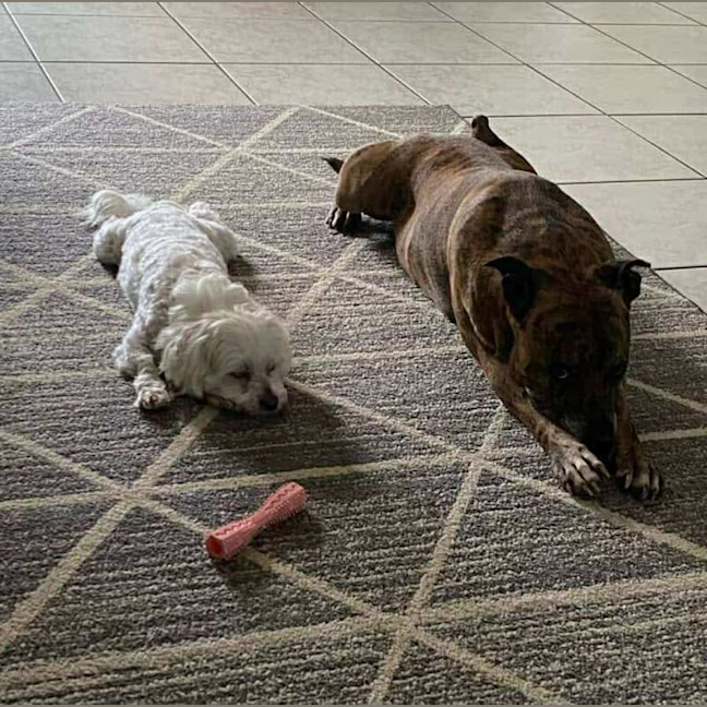 Photo of Coco & Latte