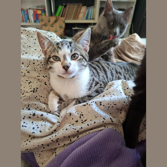 Photo of Rolly