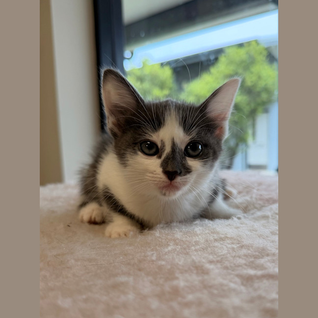 Photo of Marty 