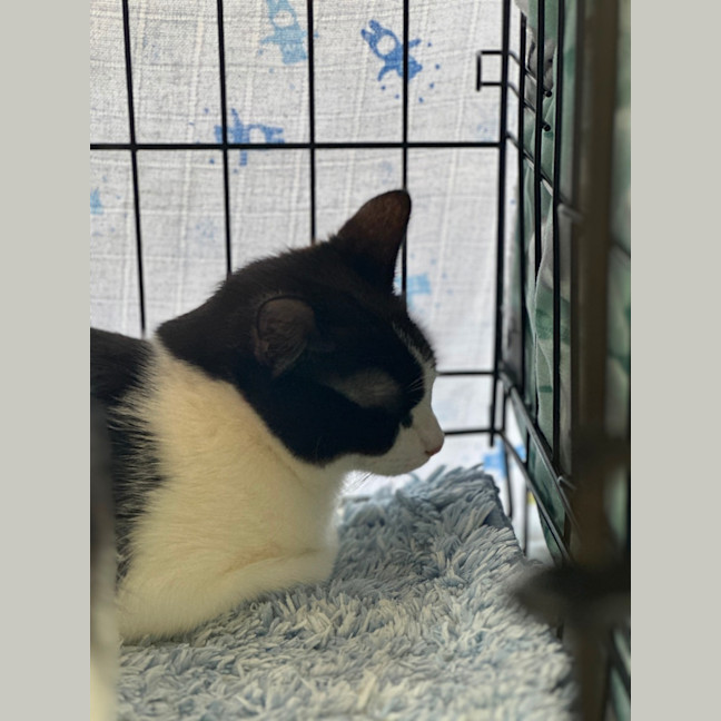 Photo of Meg And Amy