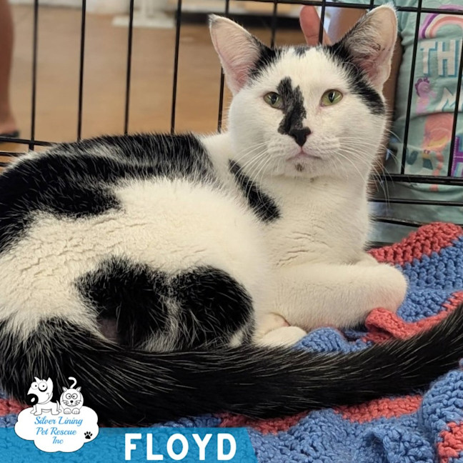 Photo of Floyd