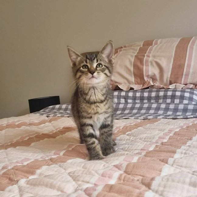 Photo of Buzz