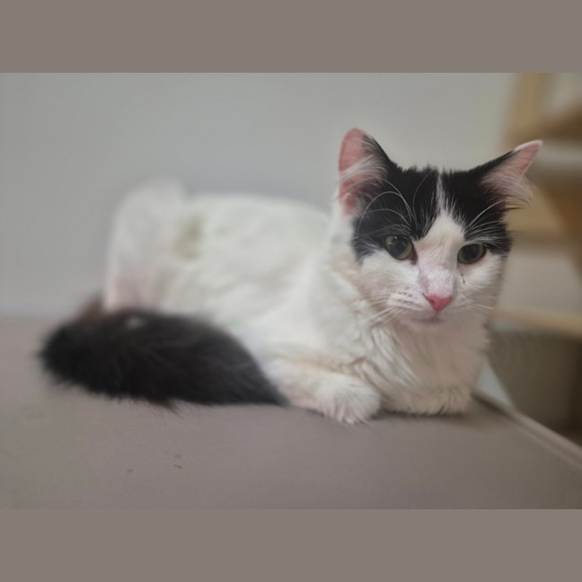 Photo of Daphne 