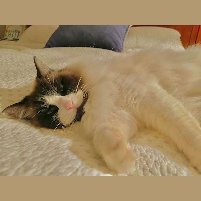 Photo of Molly