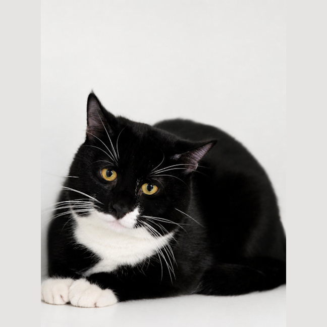 Photo of Squiggle