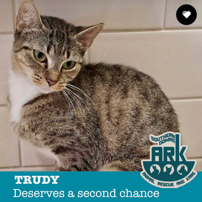 Photo of Trudy