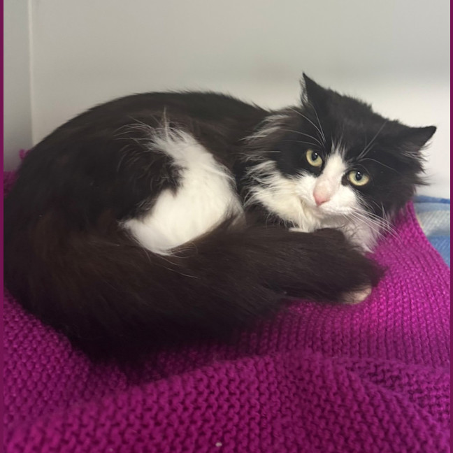 Photo of Pippa