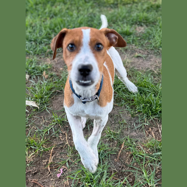Photo of Mac 
