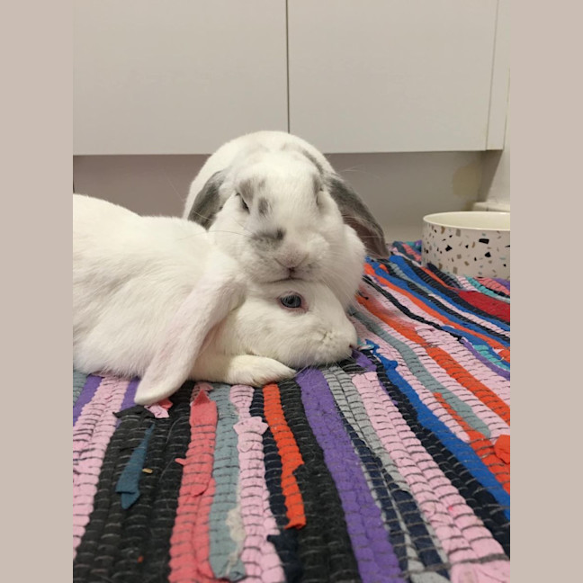 Photo of Amira And Timmy