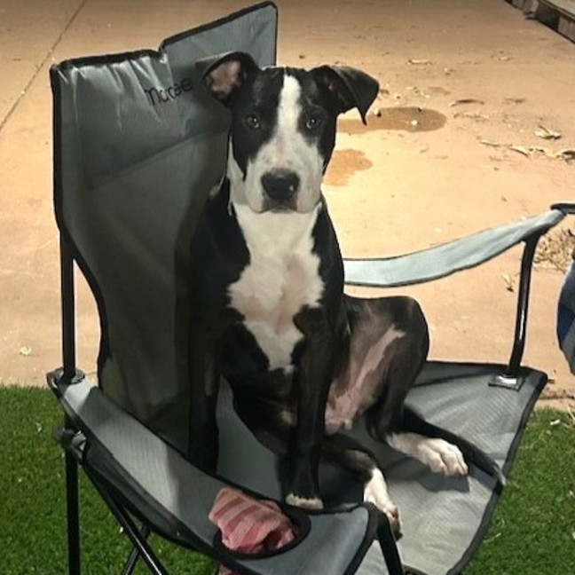 Photo of Charlie