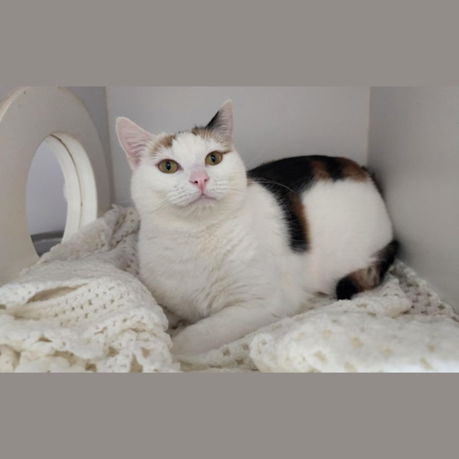 Photo of Rosie