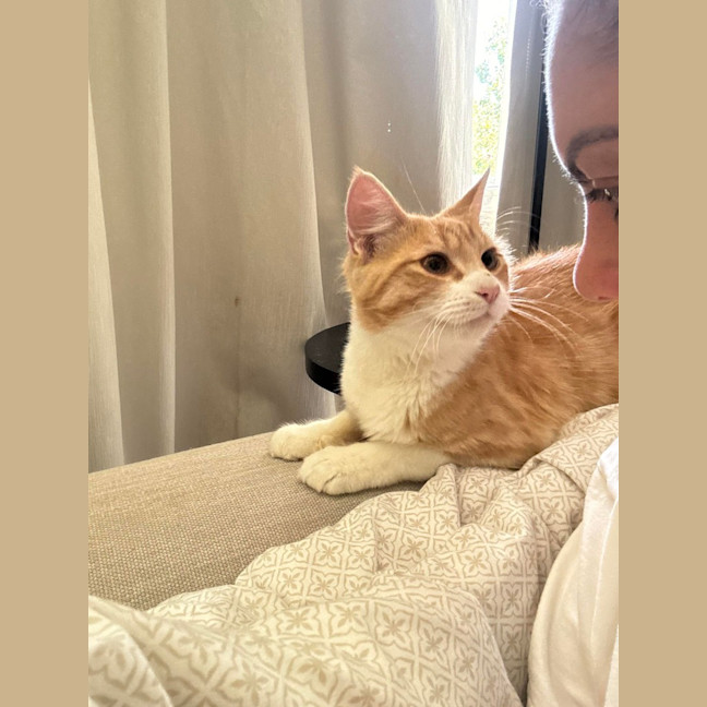 Photo of Mochi