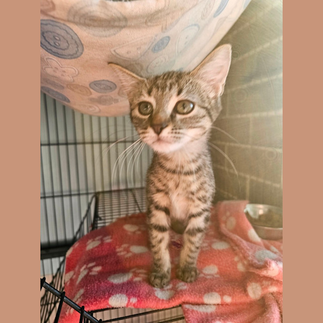 Photo of Zoe