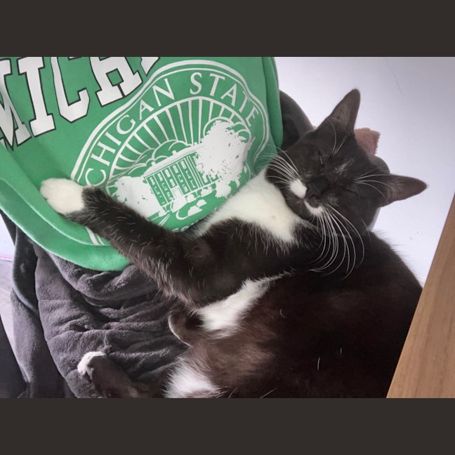 Photo of Daisy & Bobby 