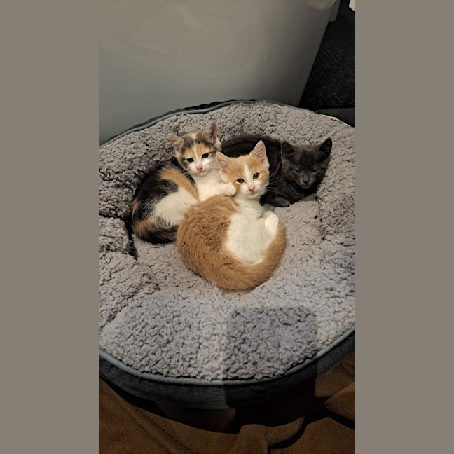 Photo of Maggie