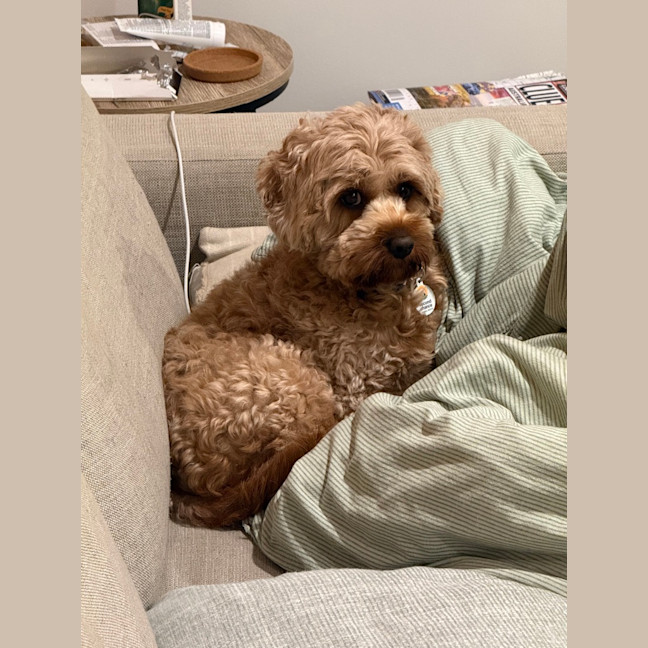 Photo of Millie