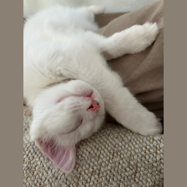 Photo of Yuki