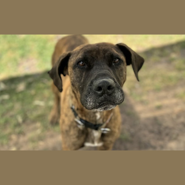 Photo of Billy