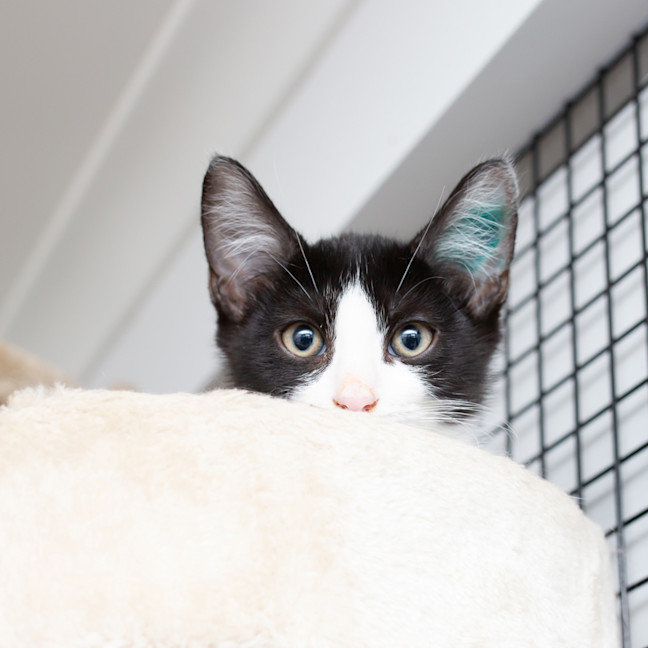 Photo of Little Bit Cutesy