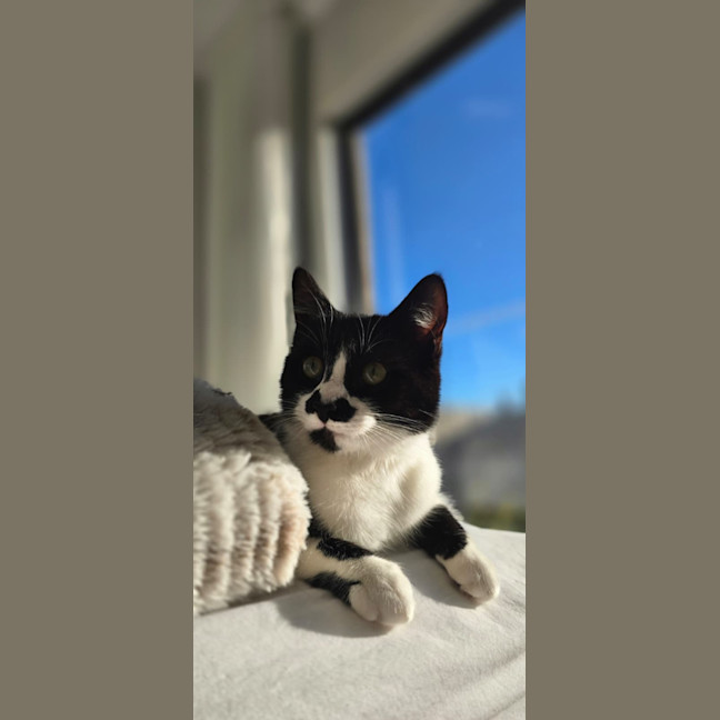 Photo of Sugar