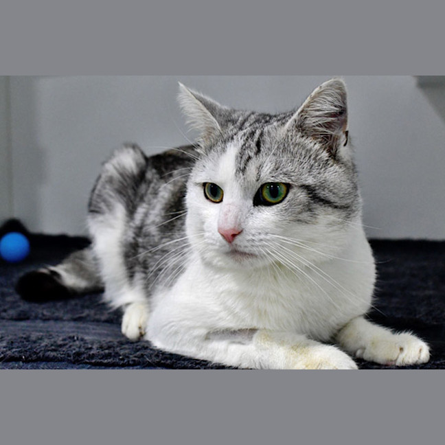 Photo of Jimmy Kibble