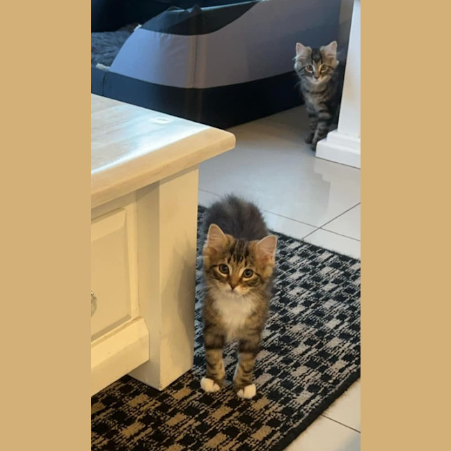 Photo of Lily