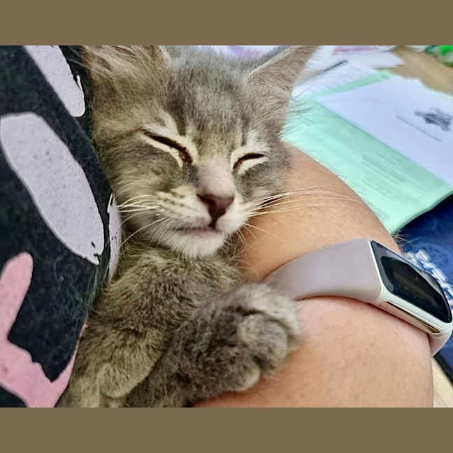 Photo of Bennie & The Jets