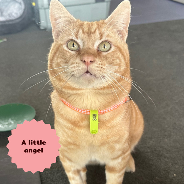 Photo of 🔥Slick Rick🔥